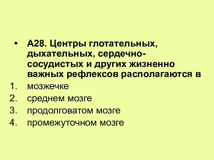 А28. Центры глотательных, дыхательных, сердечно-сосудистых и других жизненно важных рефлексов располагаются