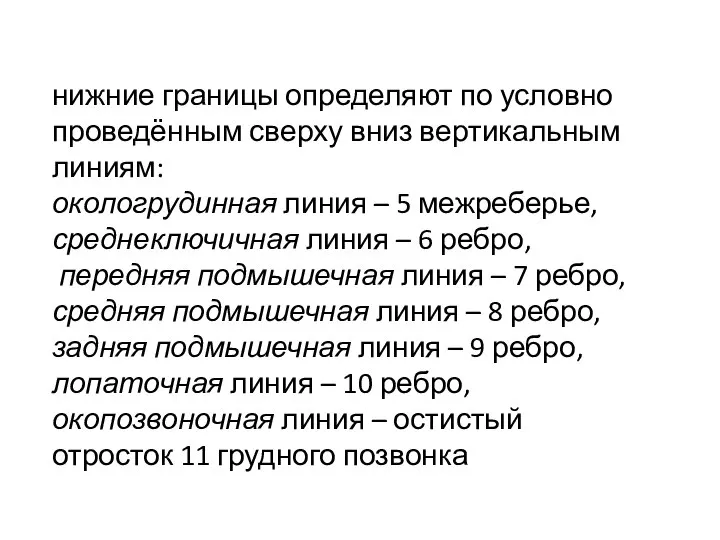 нижние границы определяют по условно проведённым сверху вниз вертикальным линиям: окологрудинная