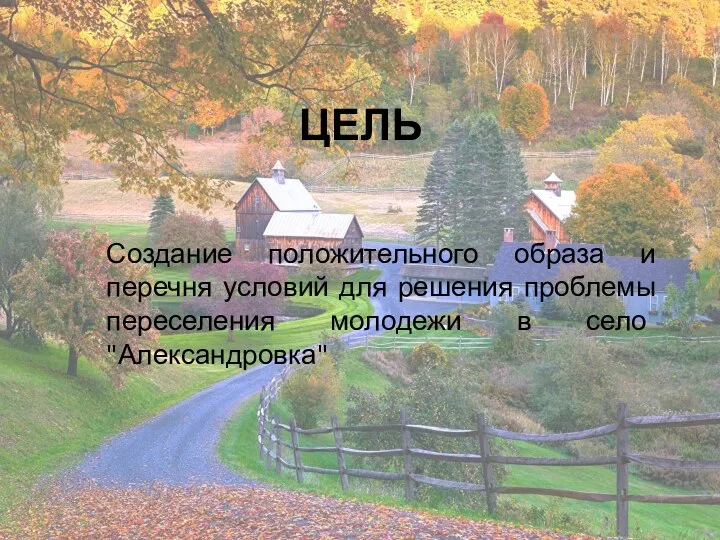 Создание положительного образа и перечня условий для решения проблемы переселения молодежи в село "Александровка" ЦЕЛЬ