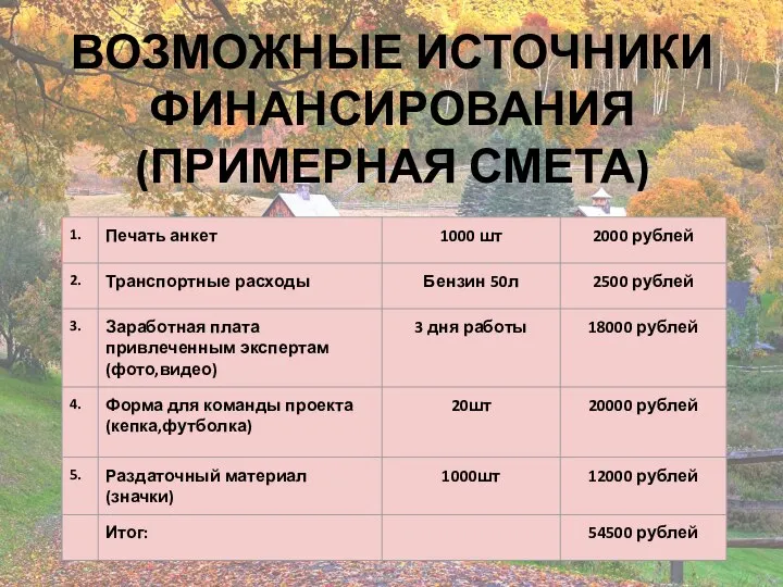 ВОЗМОЖНЫЕ ИСТОЧНИКИ ФИНАНСИРОВАНИЯ (ПРИМЕРНАЯ СМЕТА)