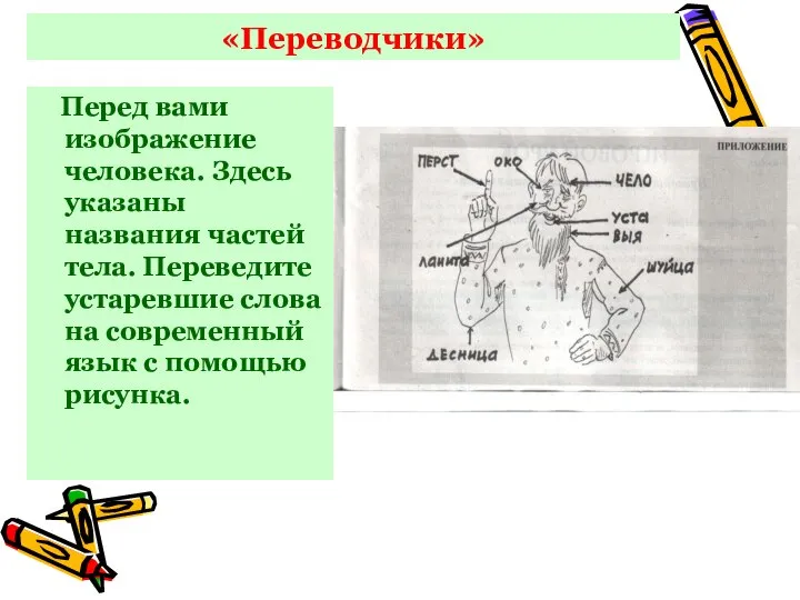 «Переводчики» Перед вами изображение человека. Здесь указаны названия частей тела. Переведите