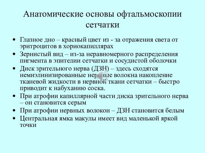 Анатомические основы офтальмоскопии сетчатки Глазное дно – красный цвет из -