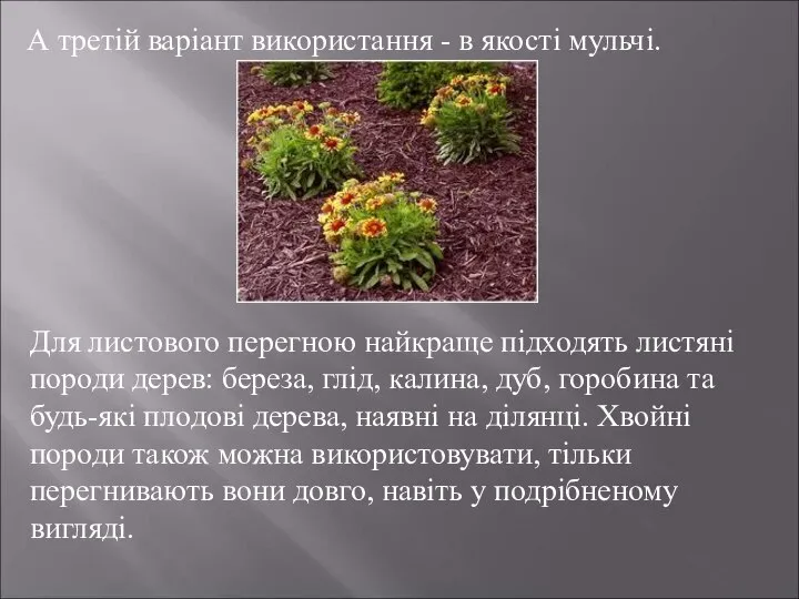 А третій варіант використання - в ​​якості мульчі. Для листового перегною