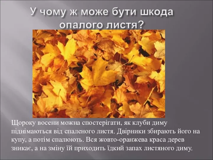 Щороку восени можна спостерігати, як клуби диму піднімаються від спаленого листя.