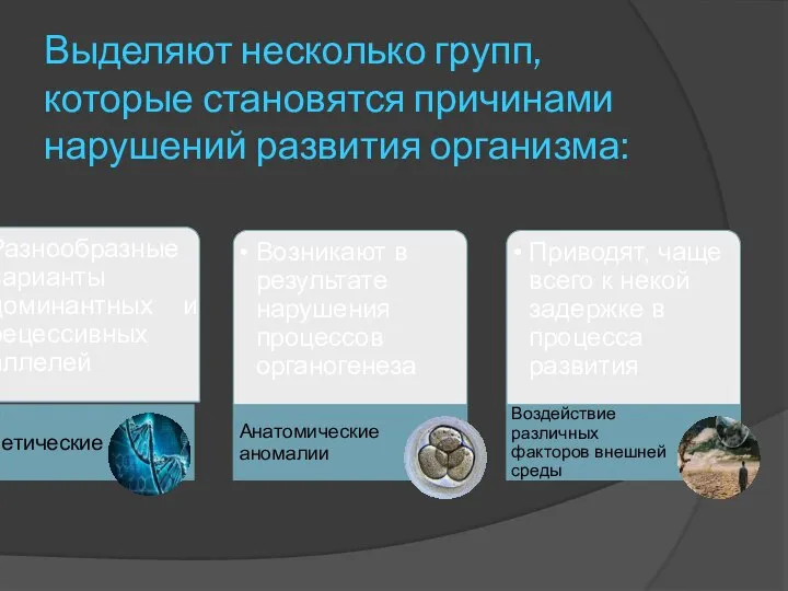 Выделяют несколько групп, которые становятся причинами нарушений развития организма: