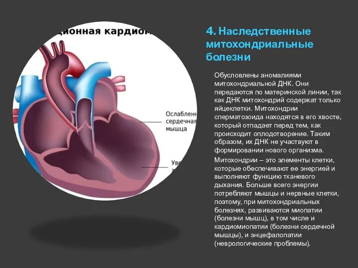 4. Наследственные митохондриальные болезни Обусловлены аномалиями митохондриальной ДНК. Они передаются по