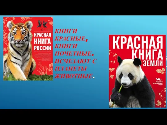 КНИГИ КРАСНЫЕ, КНИГИ ПОЧЕТНЫЕ. ИСЧЕЗАЮТ С ПЛАНЕТЫ ЖИВОТНЫЕ.