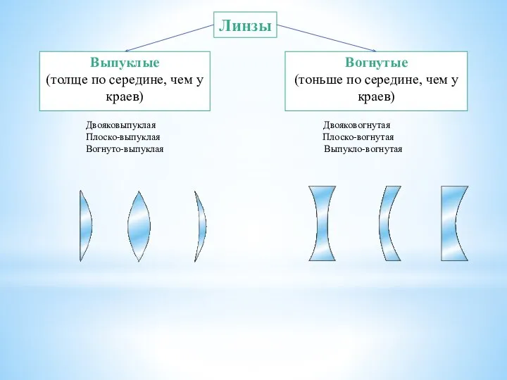 Выпуклые (толще по середине, чем у краев) Вогнутые (тоньше по середине,