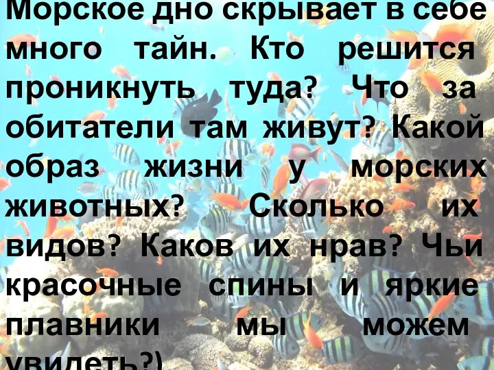 Морское дно скрывает в себе много тайн. Кто решится проникнуть туда?