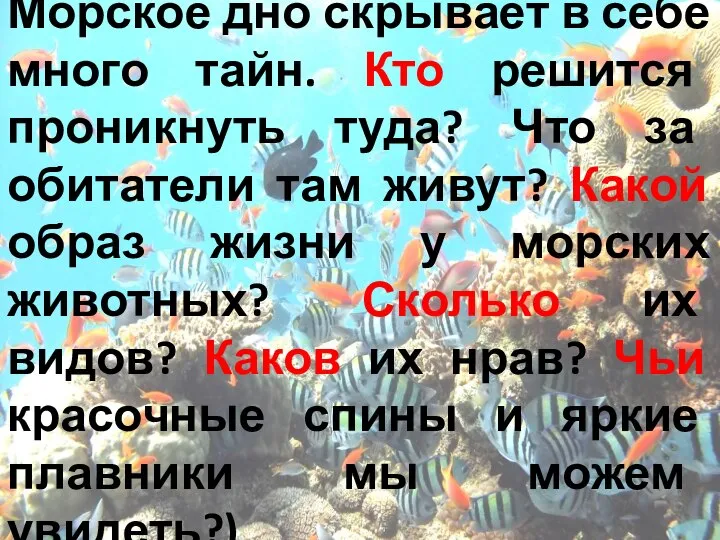 Морское дно скрывает в себе много тайн. Кто решится проникнуть туда?