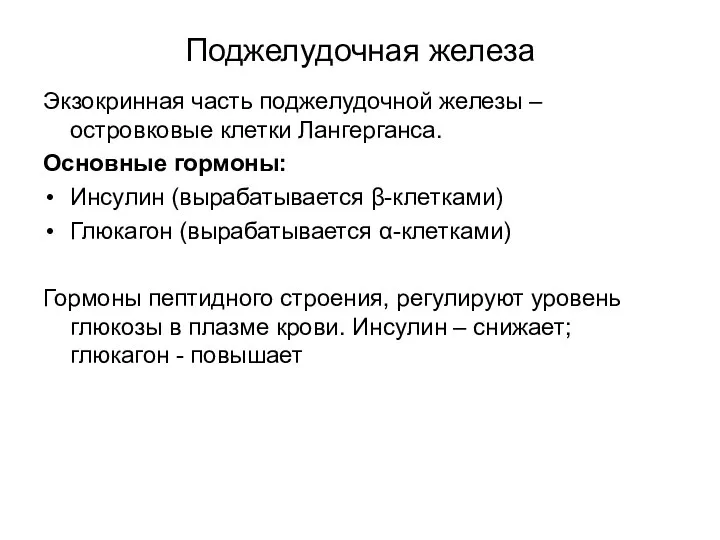 Поджелудочная железа Экзокринная часть поджелудочной железы – островковые клетки Лангерганса. Основные