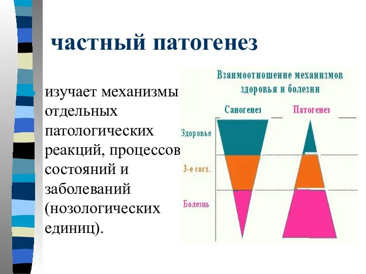 частный патогенез изучает механизмы отдельных патологических реакций, процессов, состояний и заболеваний (нозологических единиц).