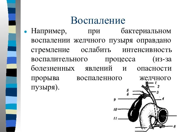 Воспаление Например, при бактериальном воспалении желчного пузыря оправдано стремление ослабить интенсивность