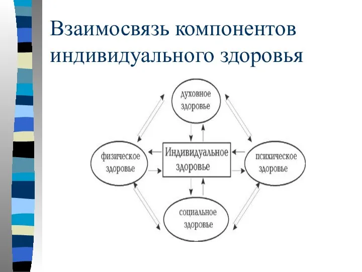 Взаимосвязь компонентов индивидуального здоровья