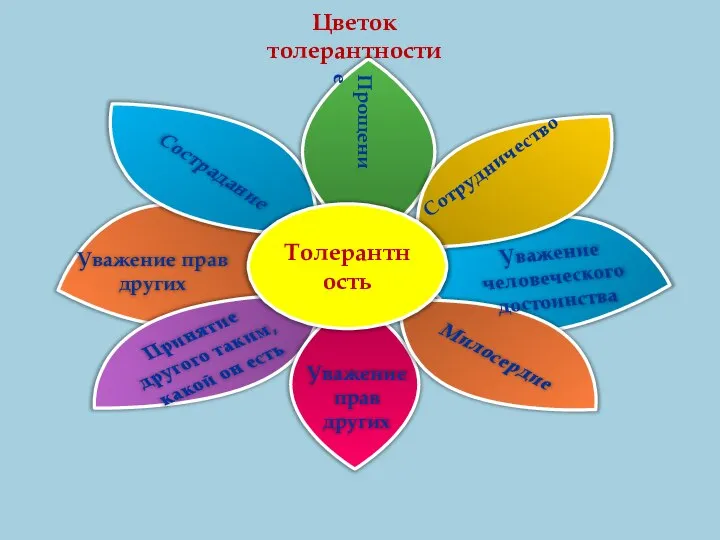 Сотрудничество Прощение Цветок толерантности