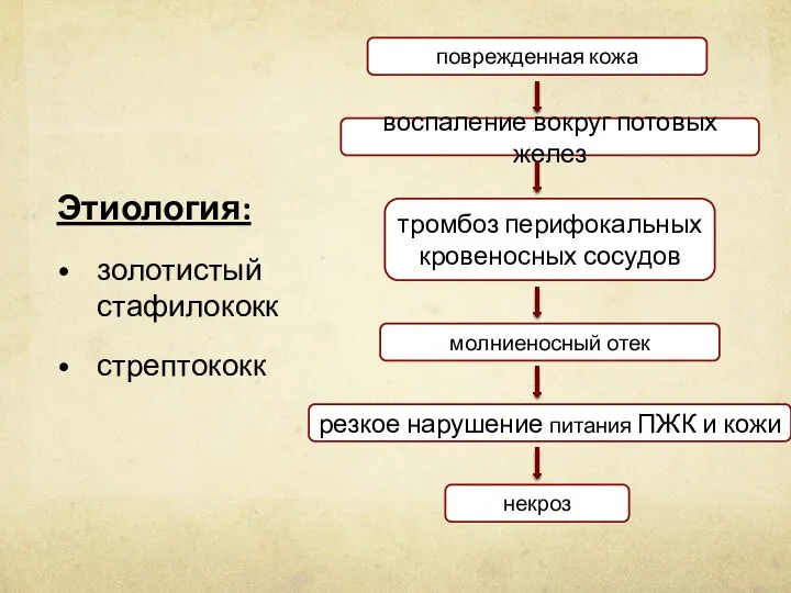 Этиология: золотистый стафилококк стрептококк поврежденная кожа воспаление вокруг потовых желез тромбоз