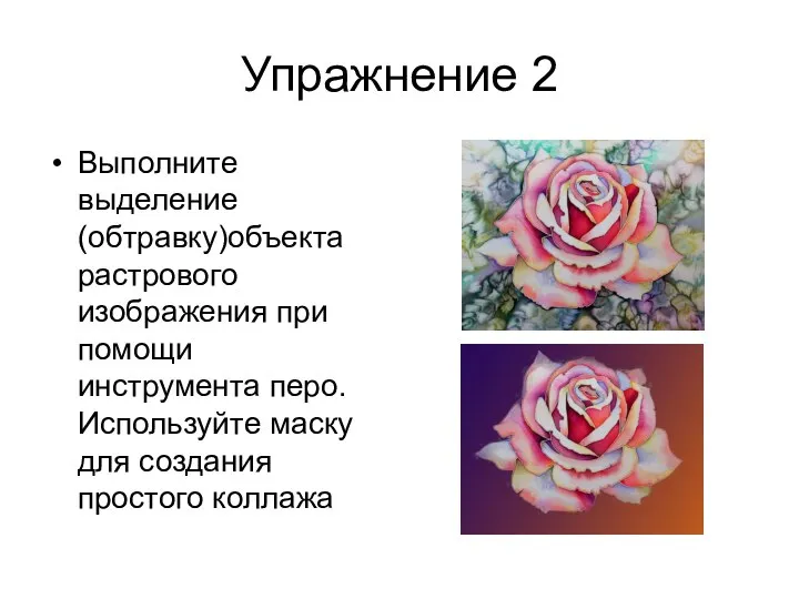 Упражнение 2 Выполните выделение (обтравку)объекта растрового изображения при помощи инструмента перо.