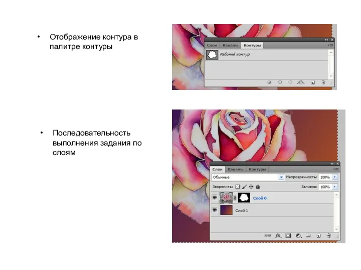 Отображение контура в палитре контуры Последовательность выполнения задания по слоям