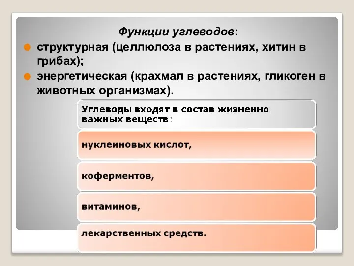 Функции углеводов: структурная (целлюлоза в растениях, хитин в грибах); энергетическая (крахмал