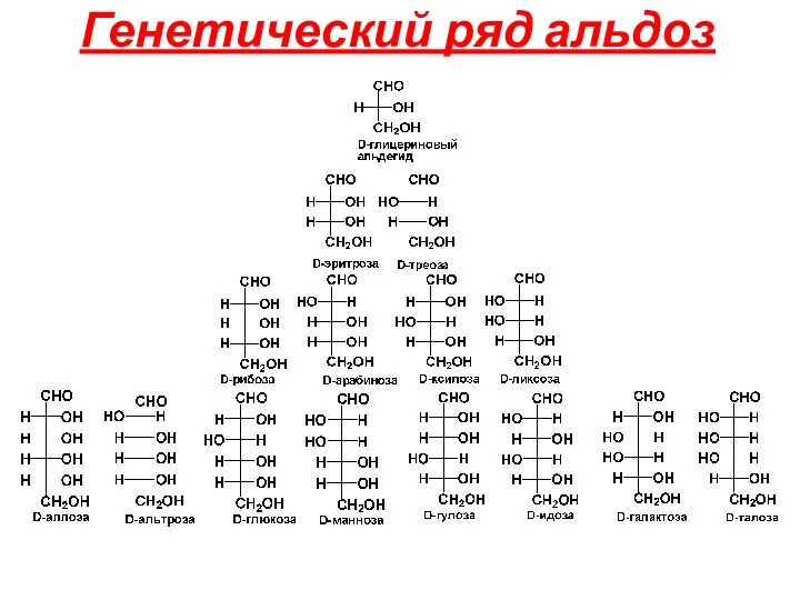 Генетический ряд альдоз