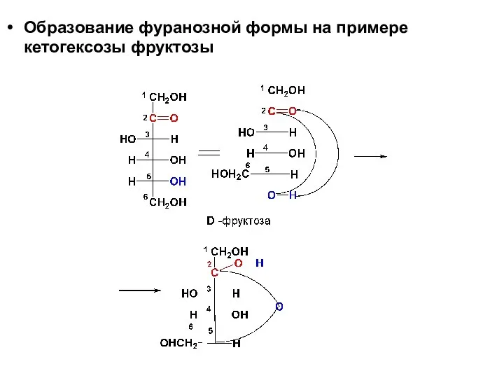 Образование фуранозной формы на примере кетогексозы фруктозы