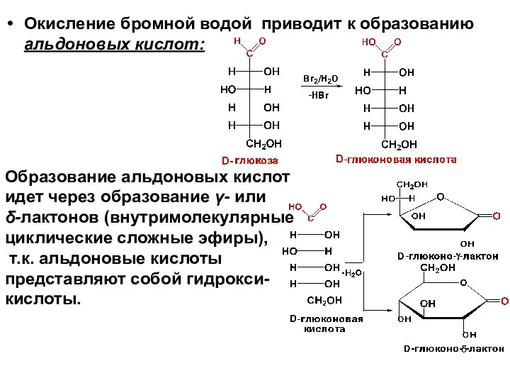 Окисление бромной водой приводит к образованию альдоновых кислот: Образование альдоновых кислот