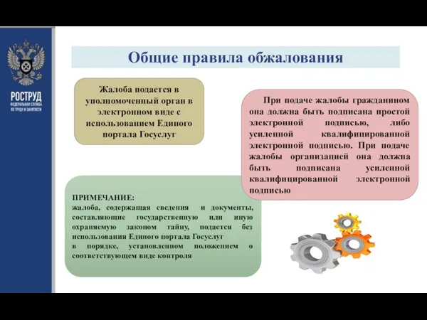 Общие правила обжалования Жалоба подается в уполномоченный орган в электронном виде