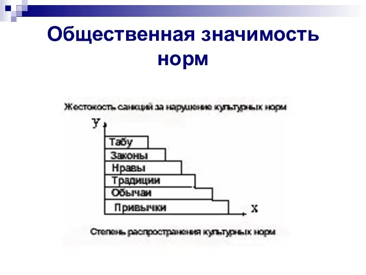 Общественная значимость норм