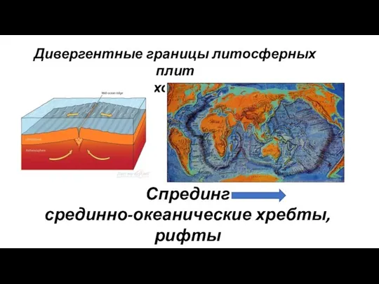 Дивергентные границы литосферных плит (расхождение) Спрединг срединно-океанические хребты, рифты