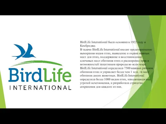 BirdLife International была основана в 1922 году в Кембридже. В задачи