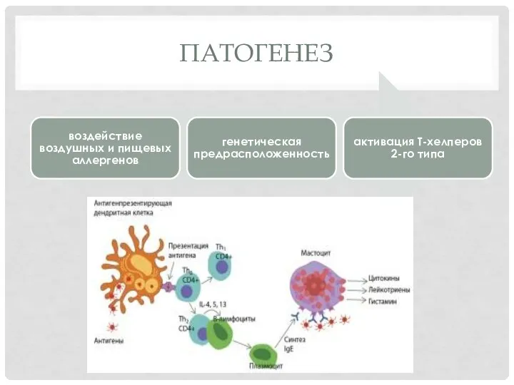 ПАТОГЕНЕЗ