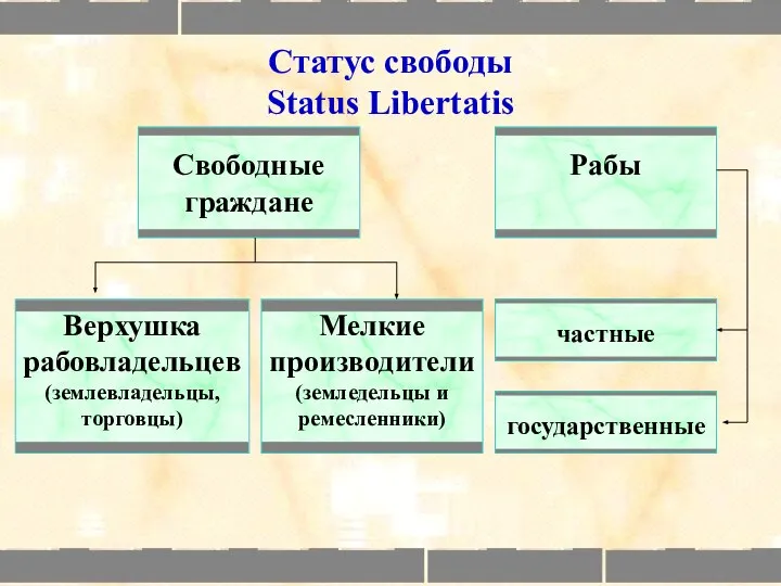 Статус свободы Status Libertatis Свободные граждане Верхушка рабовладельцев (землевладельцы, торговцы) Мелкие