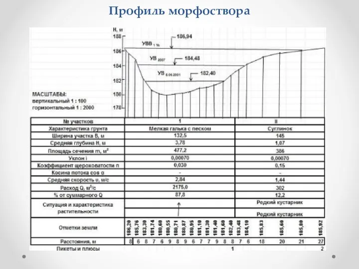 Профиль морфоствора