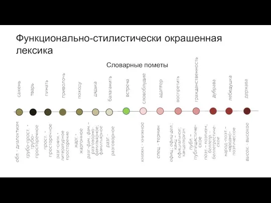 Функционально-стилистически окрашенная лексика Словарные пометы