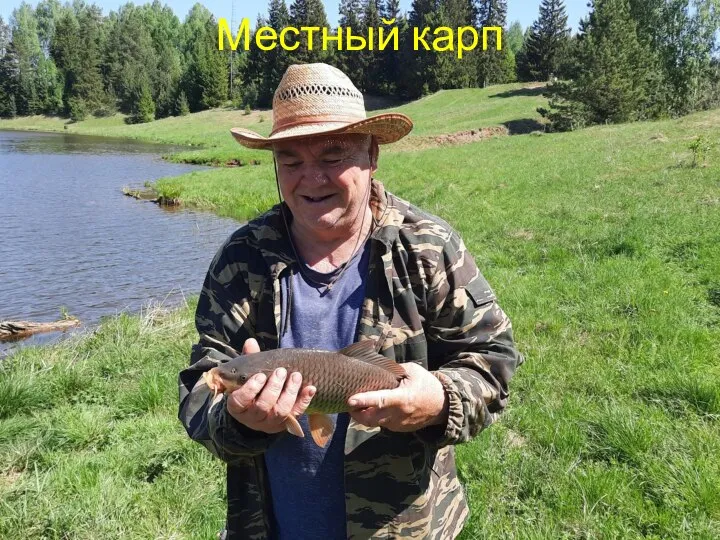 Местный карп