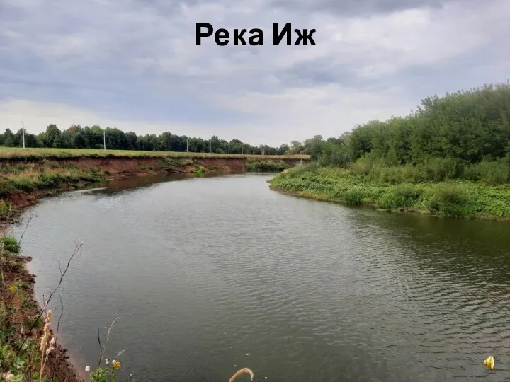 Река Иж