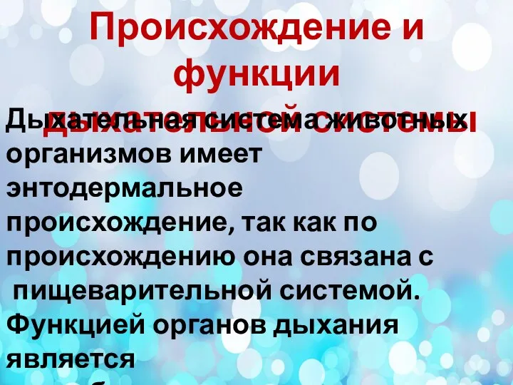 Происхождение и функции дыхательной системы Дыхательная система животных организмов имеет энтодермальное