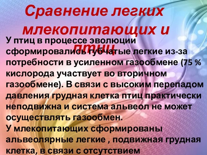 Сравнение легких млекопитающих и птиц У птиц в процессе эволюции сформировались