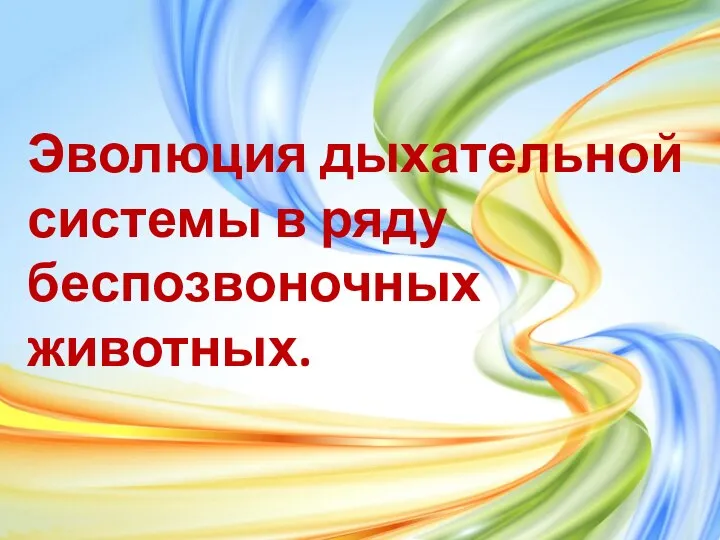 Эволюция дыхательной системы в ряду беспозвоночных животных.