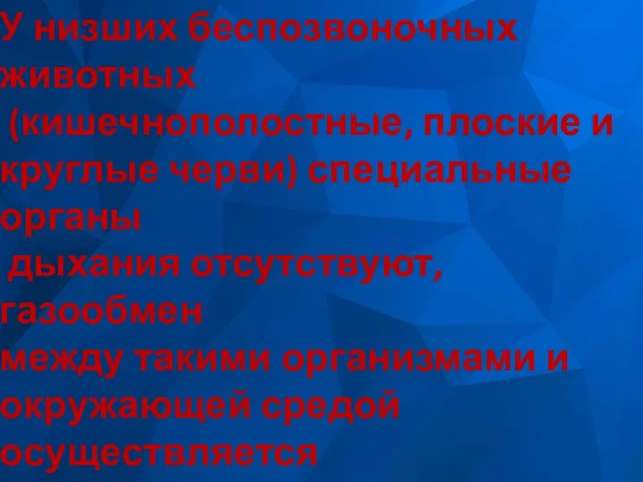 У низших беспозвоночных животных (кишечнополостные, плоские и круглые черви) специальные органы