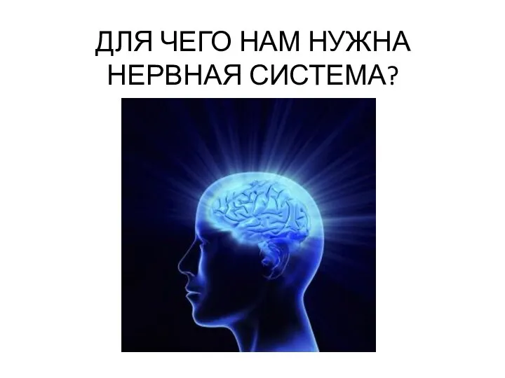 ДЛЯ ЧЕГО НАМ НУЖНА НЕРВНАЯ СИСТЕМА?