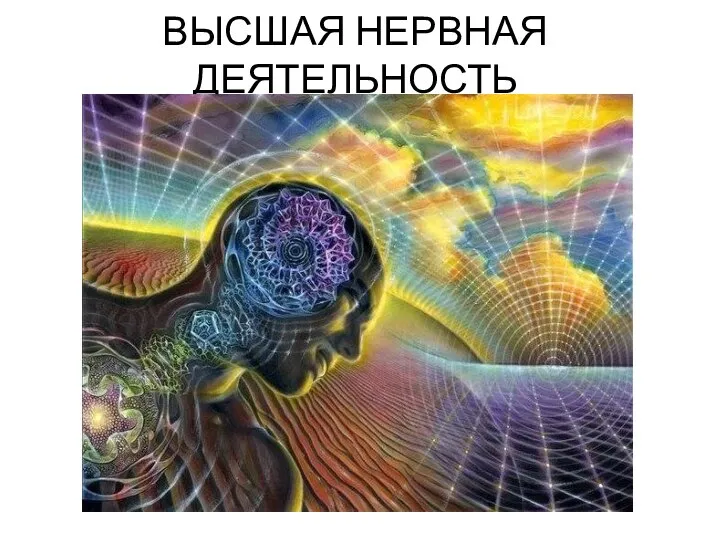 ВЫСШАЯ НЕРВНАЯ ДЕЯТЕЛЬНОСТЬ