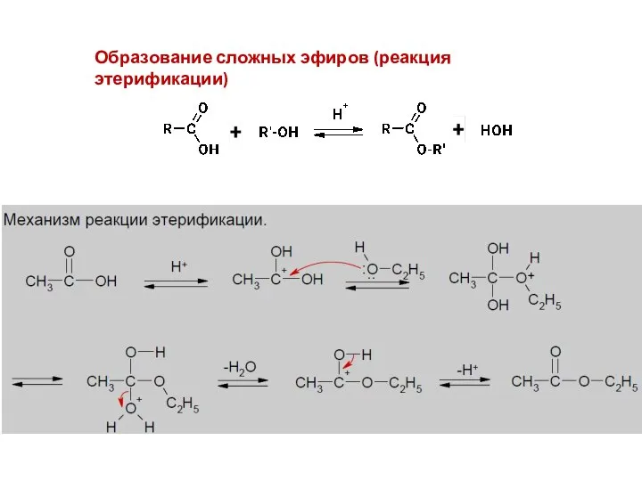 Образование сложных эфиров (реакция этерификации)