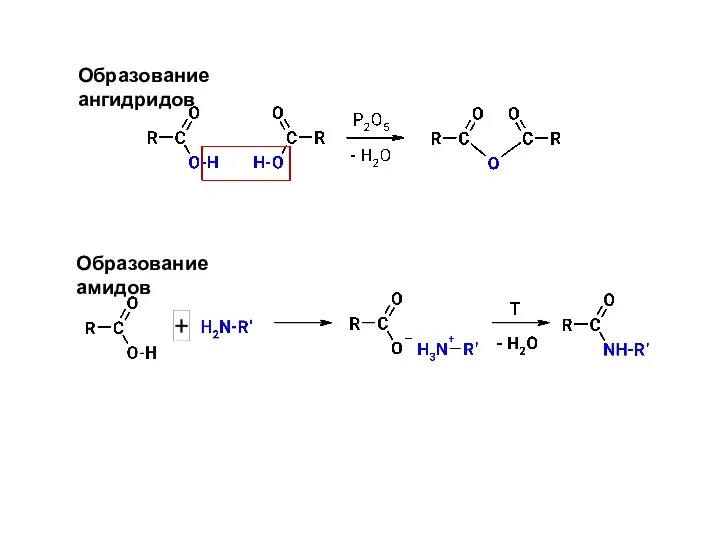 Образование ангидридов Образование амидов