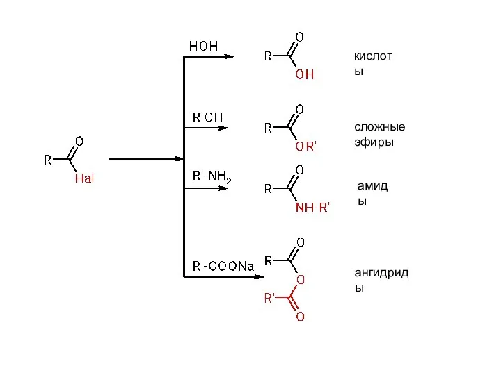 кислоты сложные эфиры амиды ангидриды