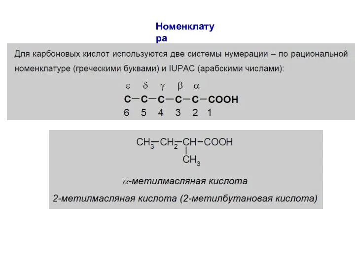 Номенклатура