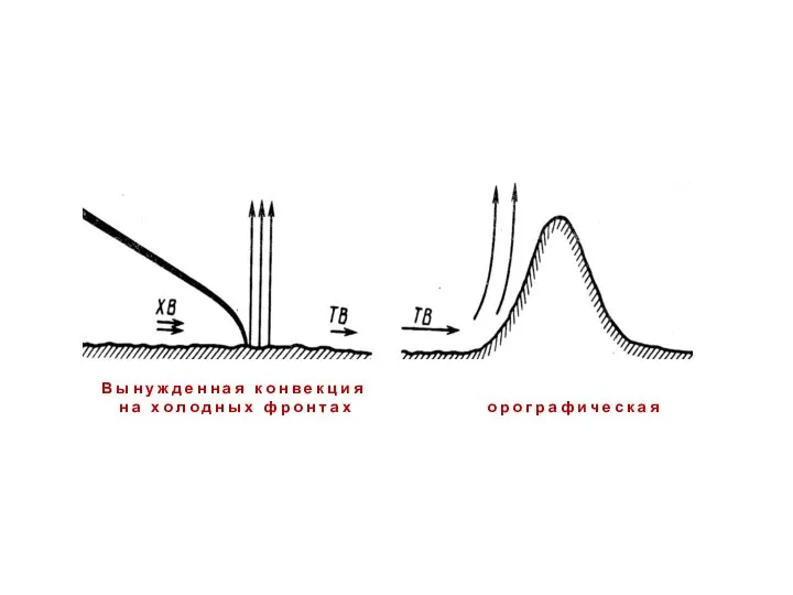 В ы н у ж д е н н а я