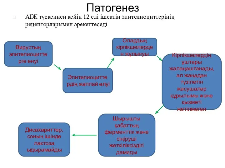 Патогенез Кірпікшелердің ұштары жалаңаштанады, ал жаңадан түзілетін жасушалар құрылымы және қызметі