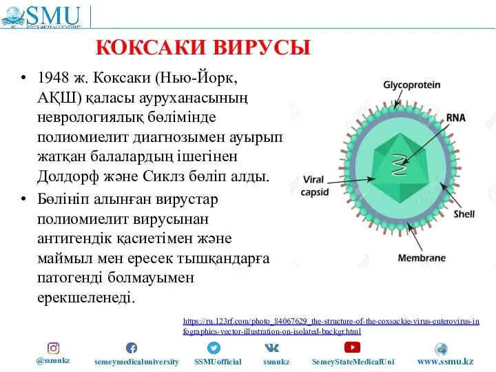 КОКСАКИ ВИРУСЫ 1948 ж. Коксаки (Нью-Йорк, АҚШ) қаласы ауруханасының неврологиялық бөлімінде