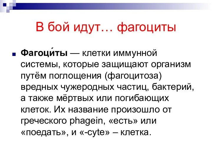 В бой идут… фагоциты Фагоци́ты — клетки иммунной системы, которые защищают